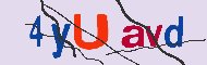 Ungültiger Sicherheitscode